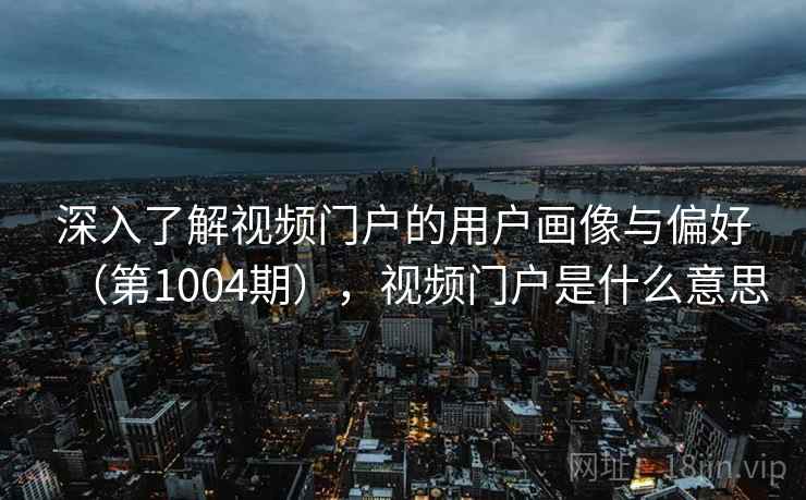 深入了解视频门户的用户画像与偏好（第1004期），视频门户是什么意思