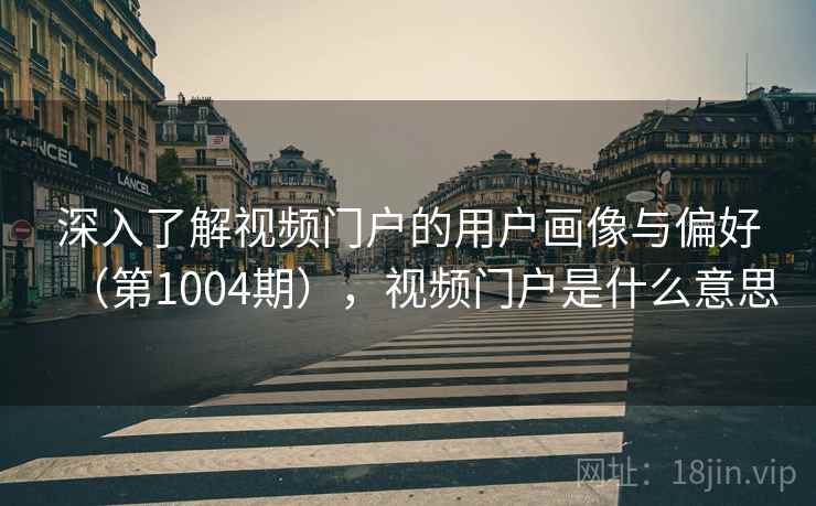 深入了解视频门户的用户画像与偏好（第1004期），视频门户是什么意思