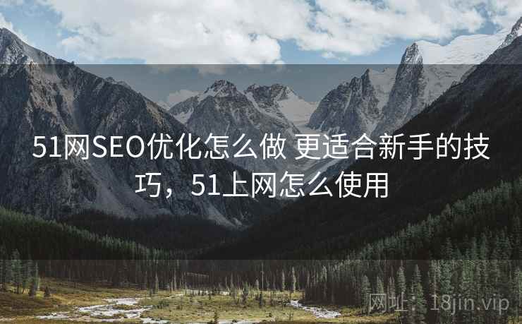 51网SEO优化怎么做 更适合新手的技巧,51上网怎么使用 51网SEO优化怎么做 更适合新手的技巧,51上网怎么使用