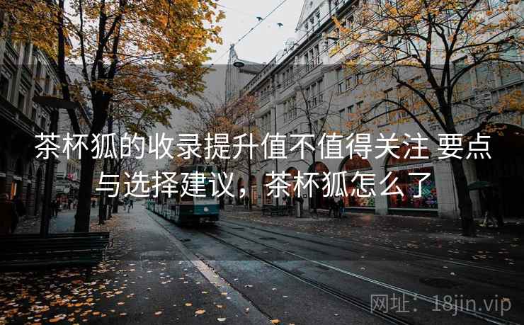 茶杯狐的收录提升值不值得关注 要点与选择建议，茶杯狐怎么了