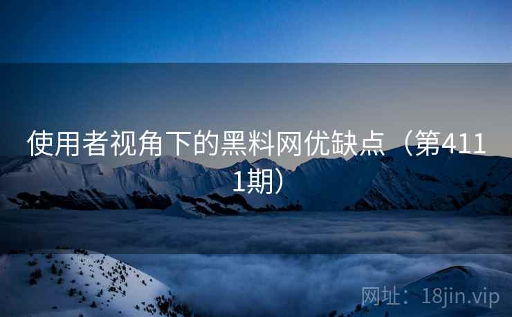 使用者视角下的黑料网优缺点（第4111期）