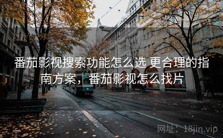 番茄影视搜索功能怎么选 更合理的指南方案，番茄影视怎么找片