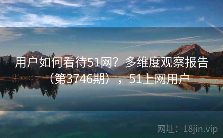 用户如何看待51网？多维度观察报告（第3746期），51上网用户